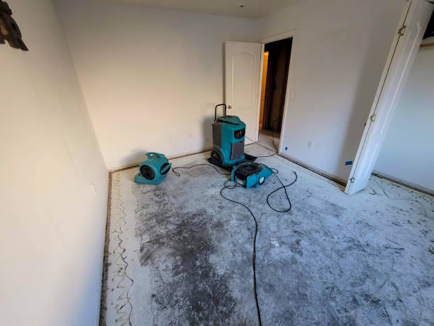 Best Flood restoration services  in Martha Lake, WA