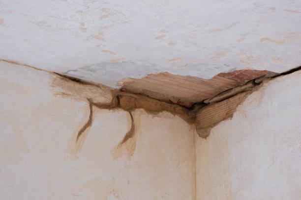 Best Water damage restoration near me  in Martha Lake, WA