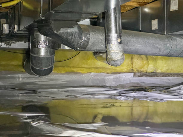 Best Mold removal after water damage  in Martha Lake, WA